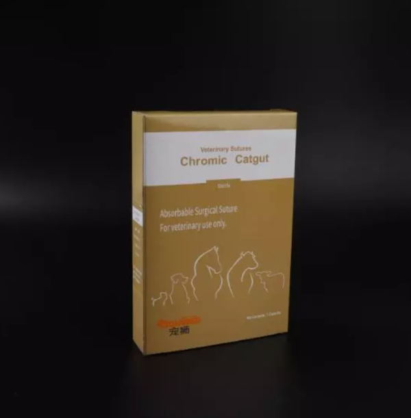 Catgut Absorbable Thread Without Needle Pig Cattle Sheep Cat Hospital Supplies