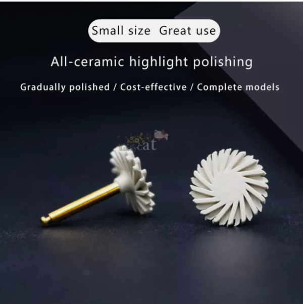 Dental Rubber Polisher Composite Resin Polishing Disc Kit Diamond System RA 14mm - Image 4