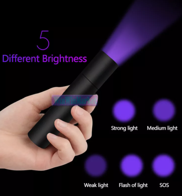 WOOD's Lamp Fungal Test Lamp Light Pet Moss Tinea LightSkin Ultraviolet Light - Image 3