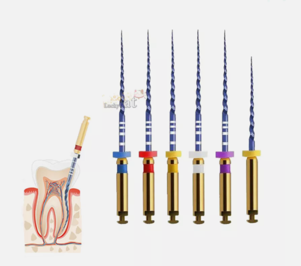 Dental Root Canal Treatment Heat Activated Canal Root Files SX-F3 25mm 6pcs