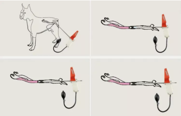 Visual Insemination Gun for Animal Artificial Insemination Tools Dog Endoscope - Image 4