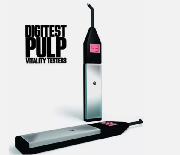 Dental Electric Pulp Tester Testing Oral Teeth Nerve Vitality Endodontics CE