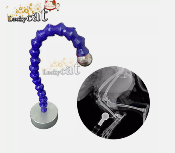 X-Ray Reference Ball Radiographic Veterinary Orthopedic Instrument 25mm - Image 2