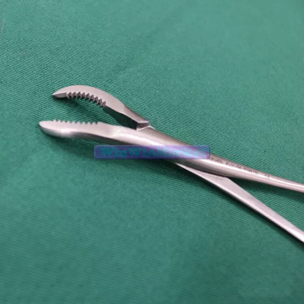 Long Ratchet Reduction Bone Holding Forceps Orthopedic Veterinary Tools - Image 3